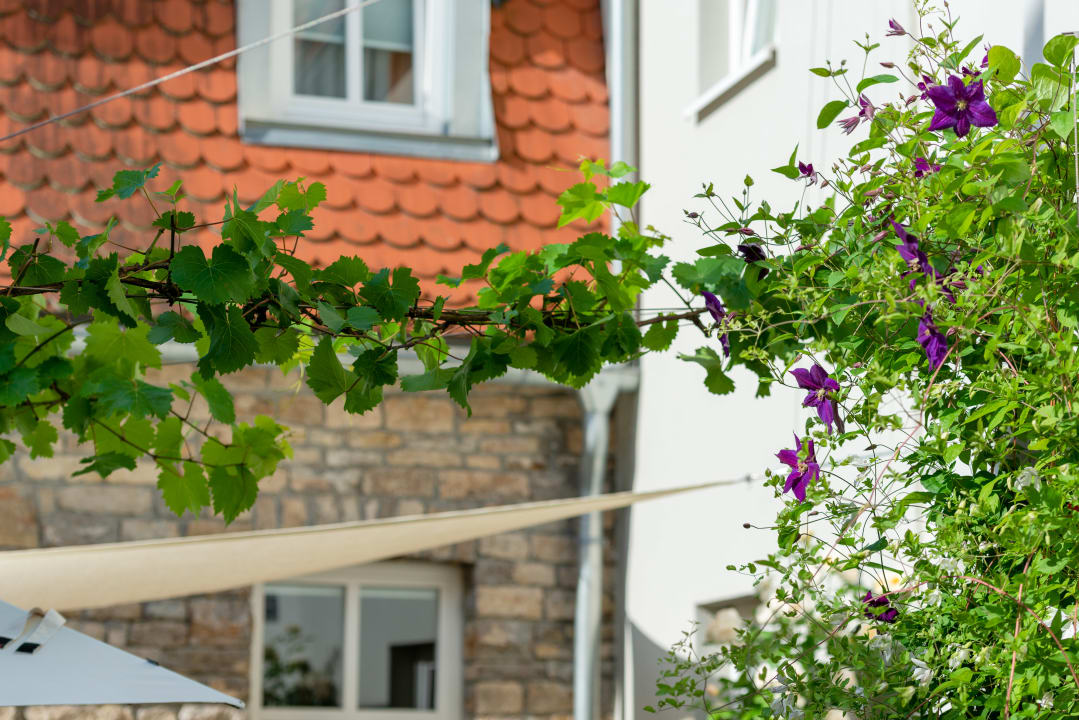 Gartenanlage Hotel am Torturm