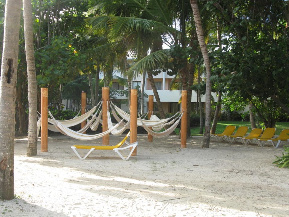 Ohne Worte - einfach nur toll Catalonia Punta Cana - All Inclusive