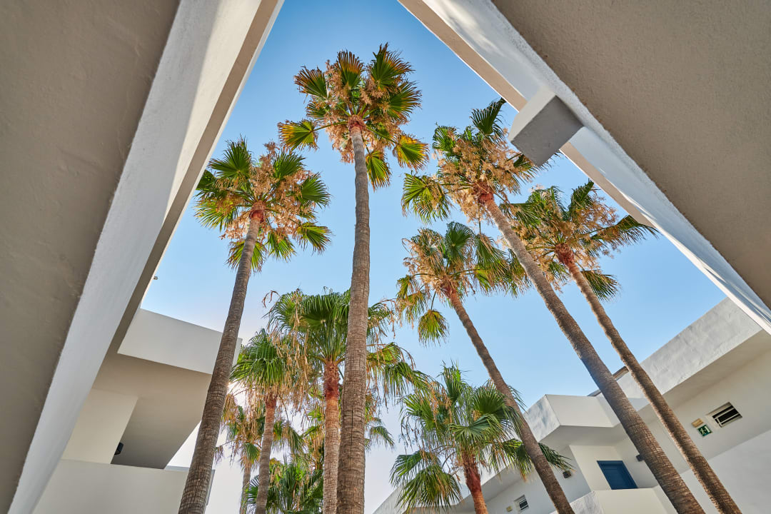 Ausblick Hipotels Apartamentos Cala Bona