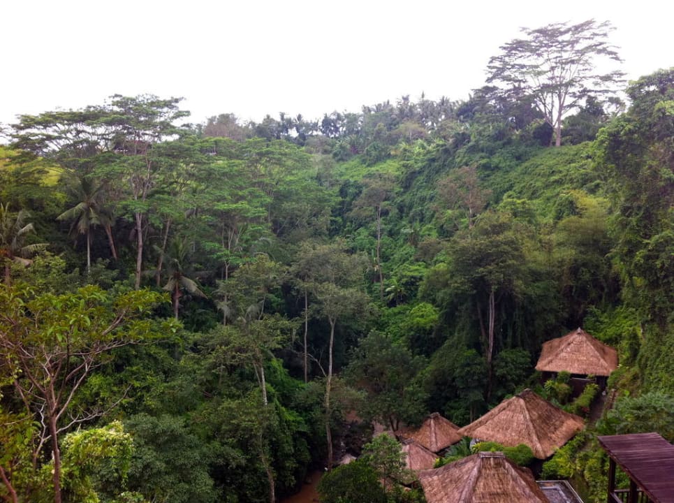 Blick vom Hotelzimmer Maya Ubud Resort & Spa Bali