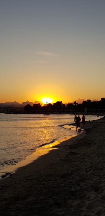 Strand Prima Life Makadi Resort