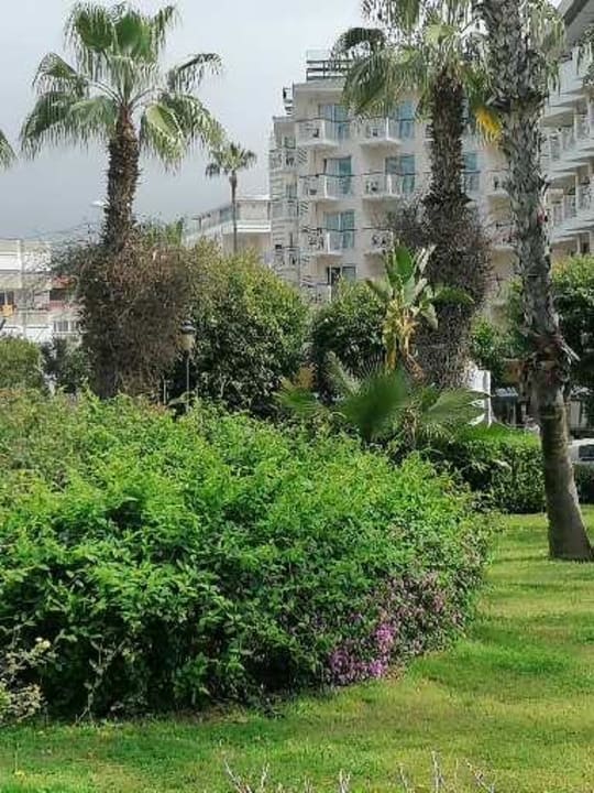 Außenansicht Gardenia Hotel