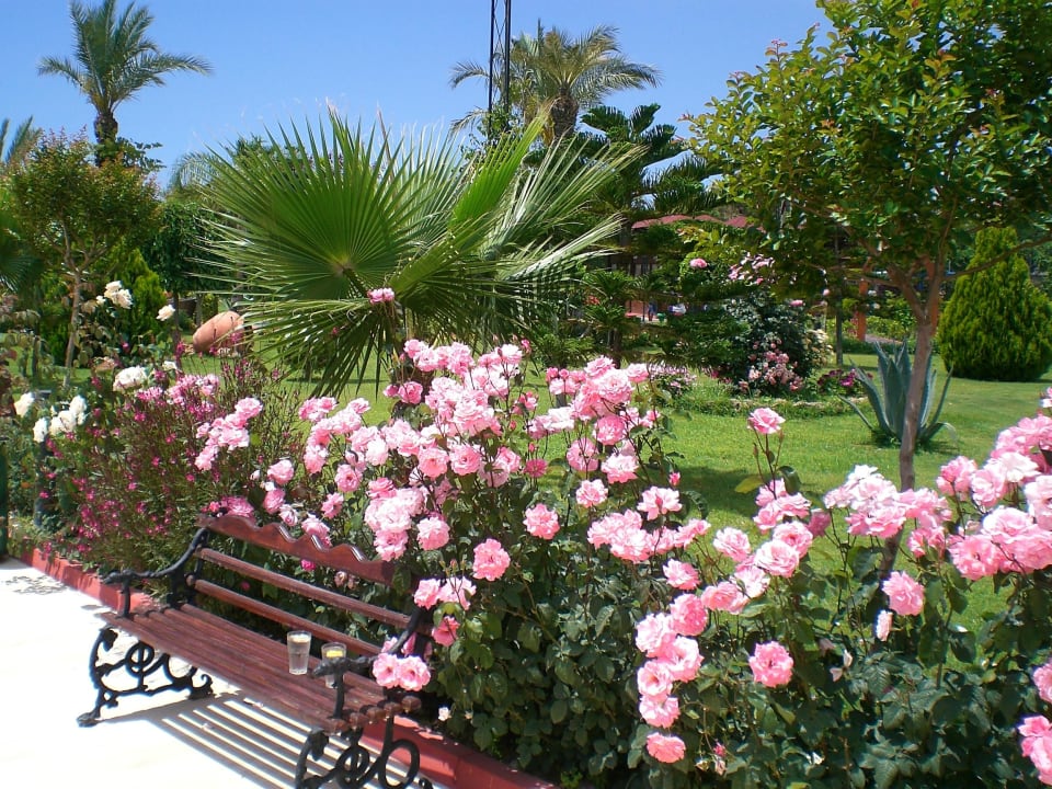 Der schöne Garten Saphir Resort & Spa