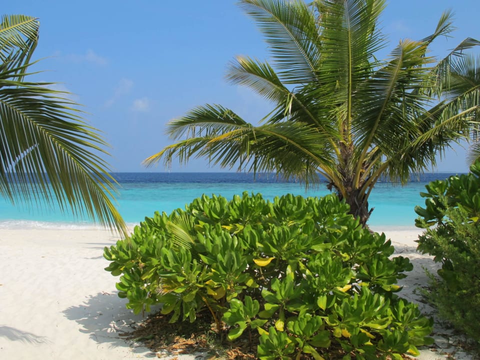 Ein Traum Adaaran Select Meedhupparu Island Resort - Premium All Inclusive