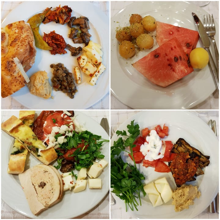 Gastro Paloma Oceana