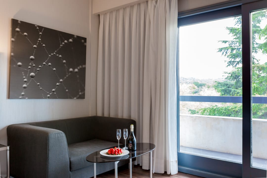 Zimmer Eurostars Monte Real