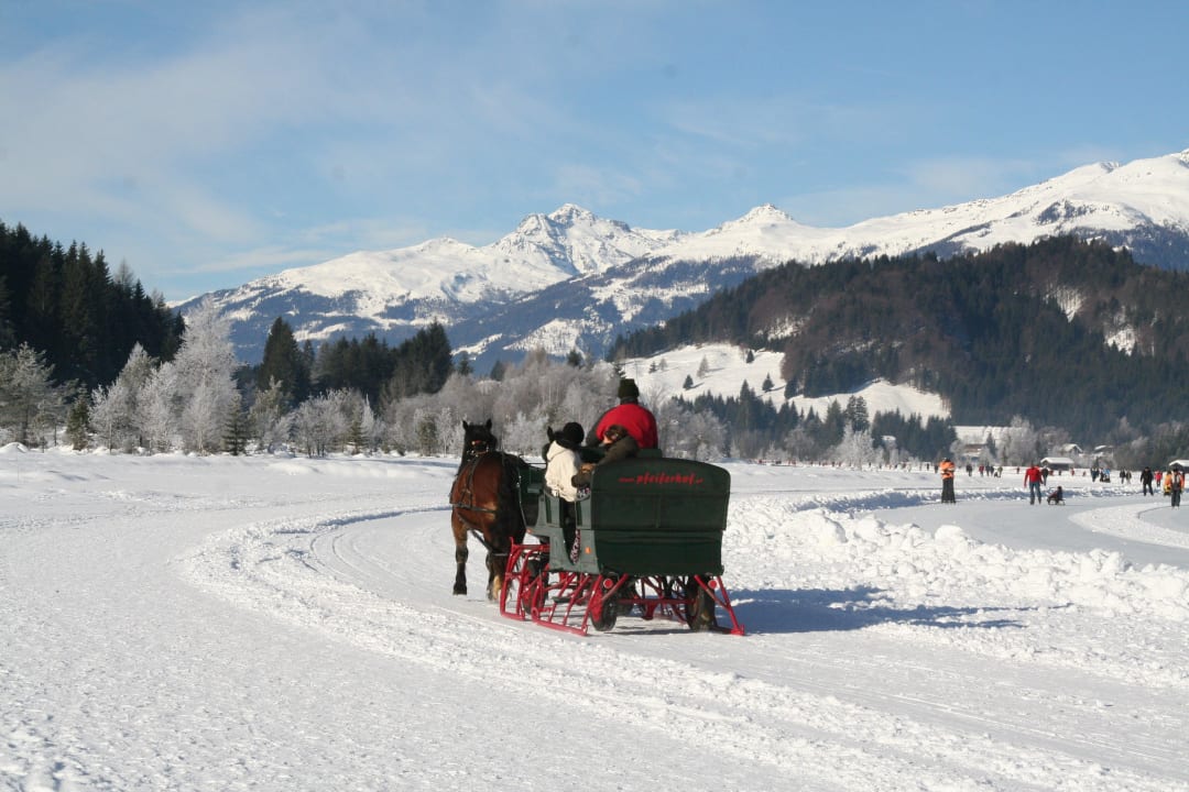 Pferdeschlittenfahrt über den zugefrorenen See Ferienwohnungen Pfeiferhof & Landhaus am See