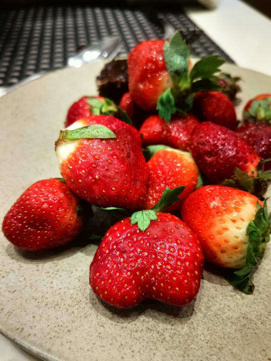 Gastro Steigenberger Alcazar