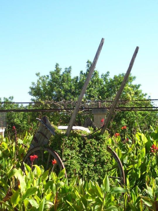 Deko Finca Son Sampoli