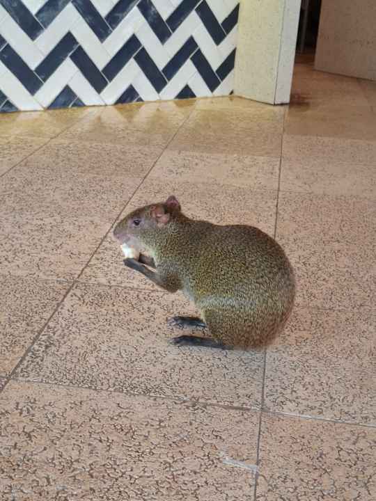 Sonstiges Viva Azteca by Wyndham - All Inclusive Resort