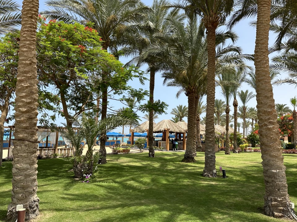 Gartenanlage Continental Hotel Hurghada