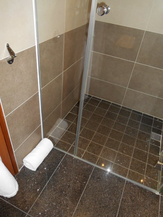 Great shower Hotel Sofitel London Heathrow T5