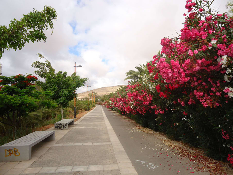 Spaziergang SBH Costa Calma Beach Resort