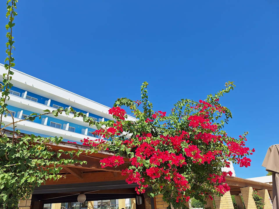 Außenansicht Blue Sea Beach Resort