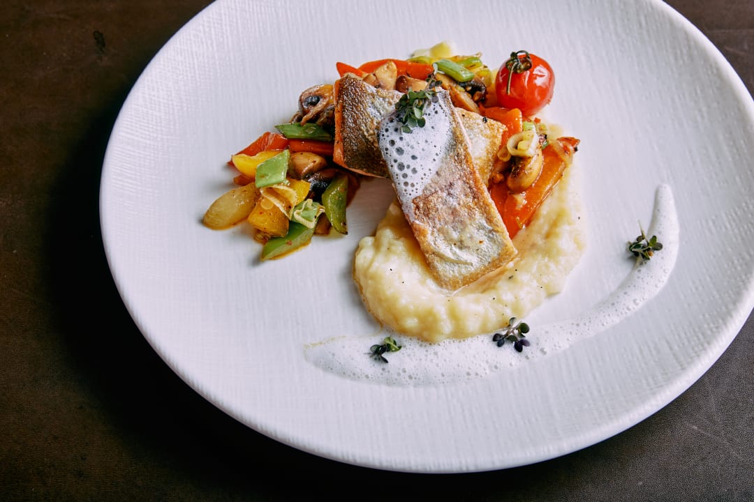 Gastro Home Suite Home