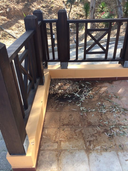 Überall verrottetes Laub vom Vorjahr  Fodele Beach & Water Park Holiday Resort