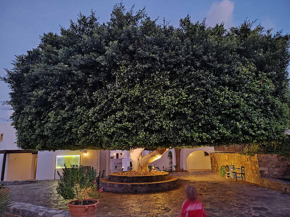 Gartenanlage Creta Maris Resort