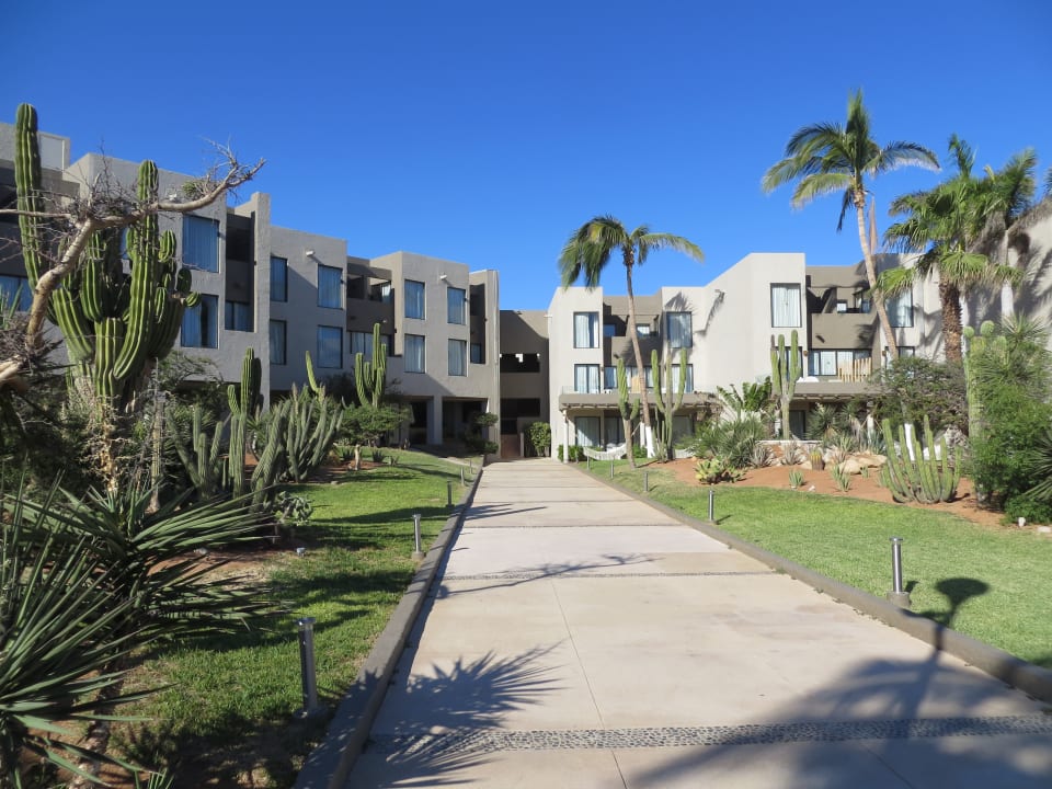 Außenansicht Hotel Holiday Inn Express Cabo San Lucas