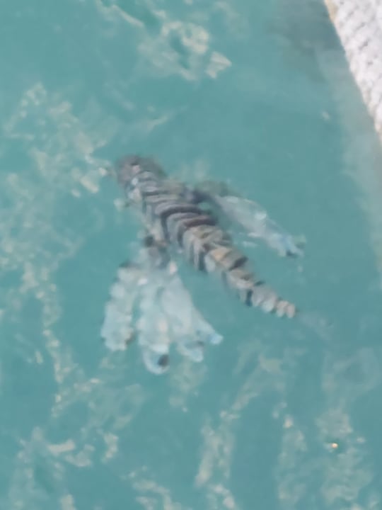 Strand Casa Mare Resort