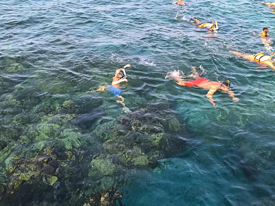 Strand Pickalbatros Royal Moderna Resort-Sharm El Sheikh