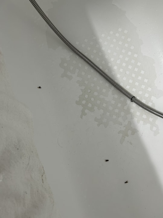 Zimmer Gavimar Ariel Chico Club & Resort