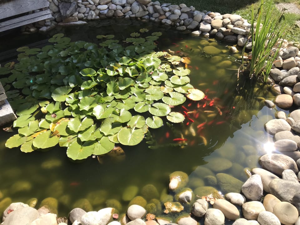 Garten Winzerhof Keller