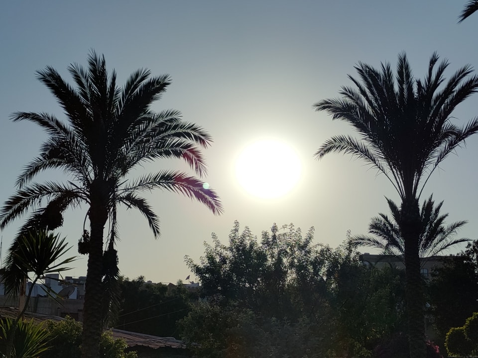 Gartenanlage Seagull Beach Resort