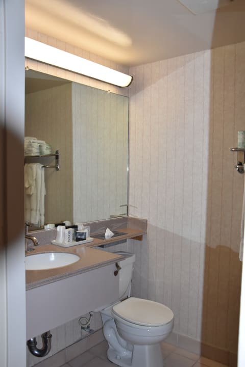 Zimmer Hollywood Hotel - The Hotel of Hollywood