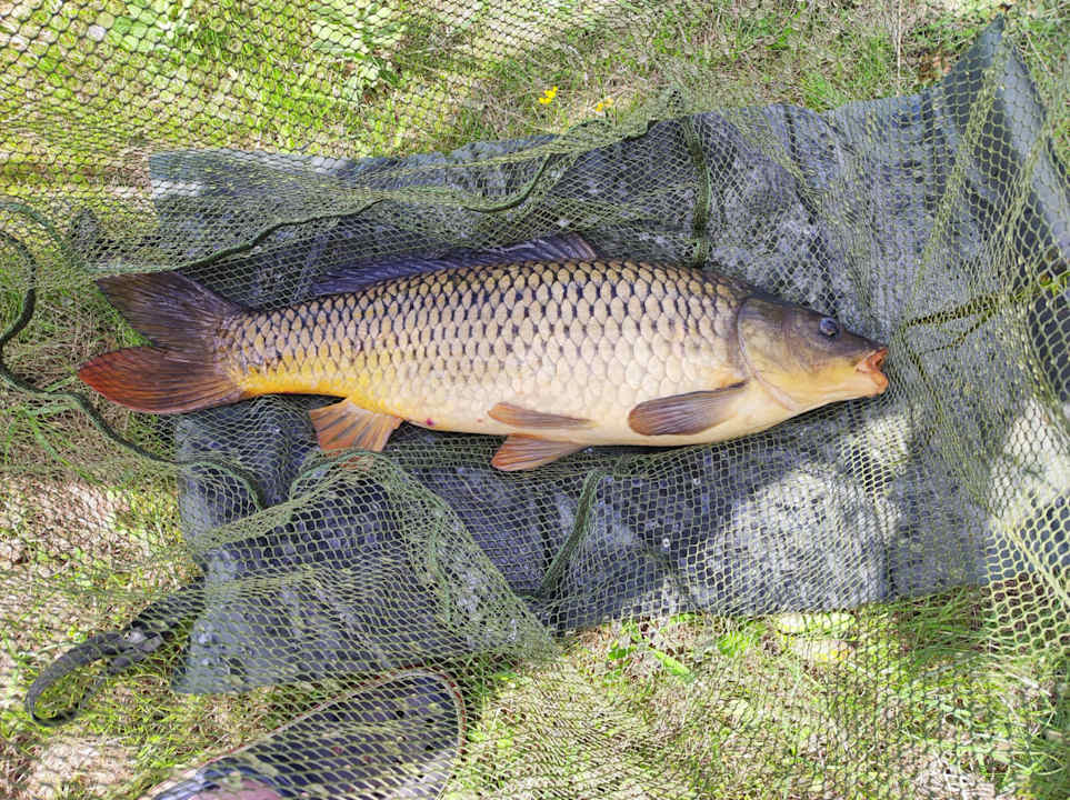 Sonstiges Oostappen Vakantiepark Marina Beach