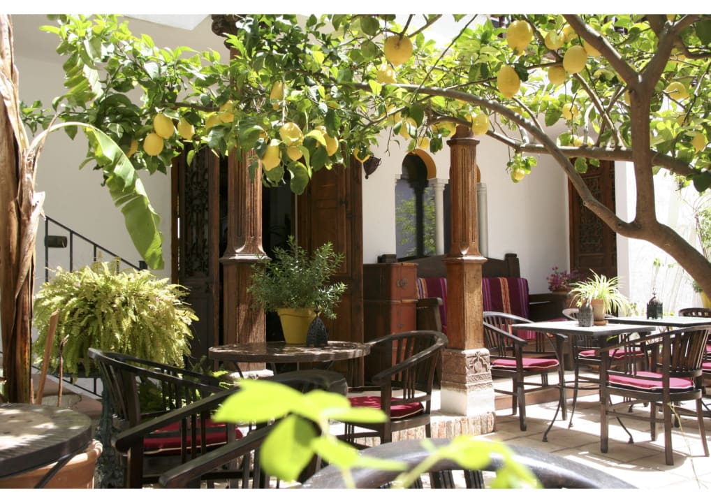 Gartenanlage Hotel La Posada del Angel