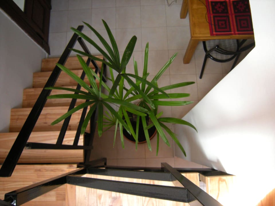 Escalera B&B  Le Jardin Vertical