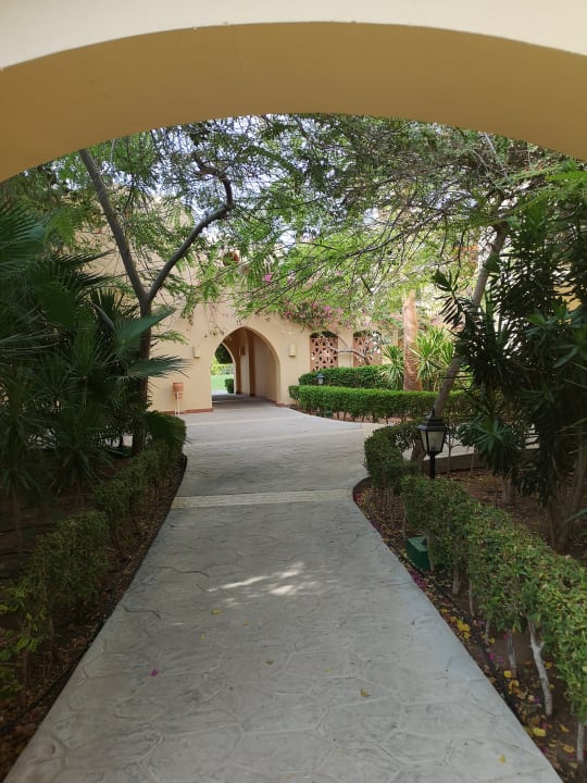 Gartenanlage Steigenberger Coraya Beach - Adults only