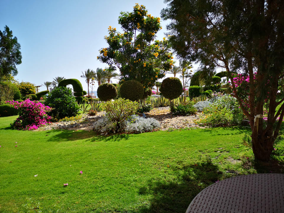 Gartenanlage Wadi Lahmy Azur Resort