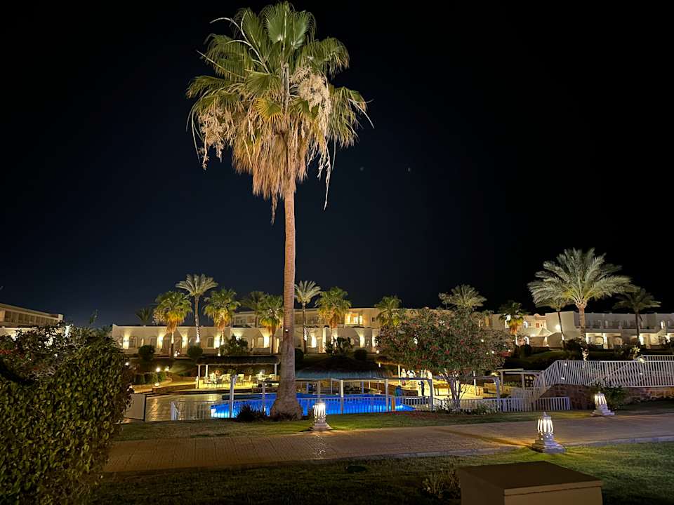 Ausblick JAZ Neo Reef Marsa