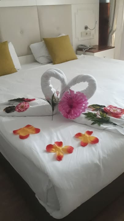 Zimmer Well Palace Side