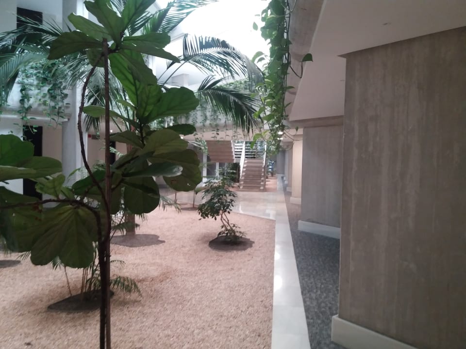 Lobby Hipotels Mediterraneo