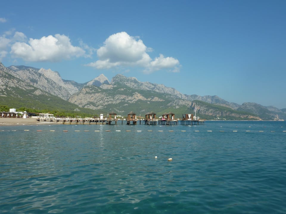 Strand Balmy Foresta