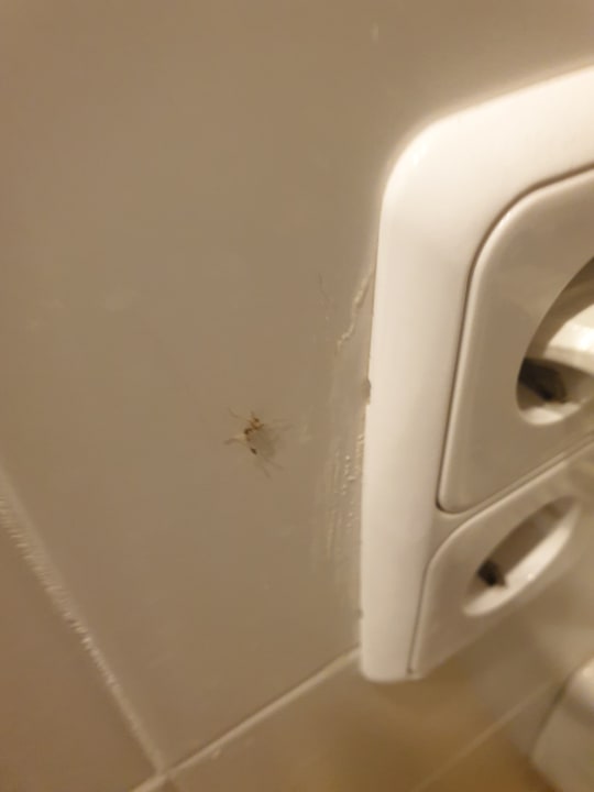 Zimmer  BJ Playamar Hotel & Apartamentos