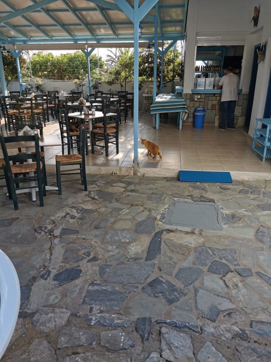 Gastro Hotel Galeana Beach