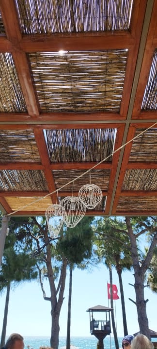 Sonstiges Acanthus Cennet Barut Collection