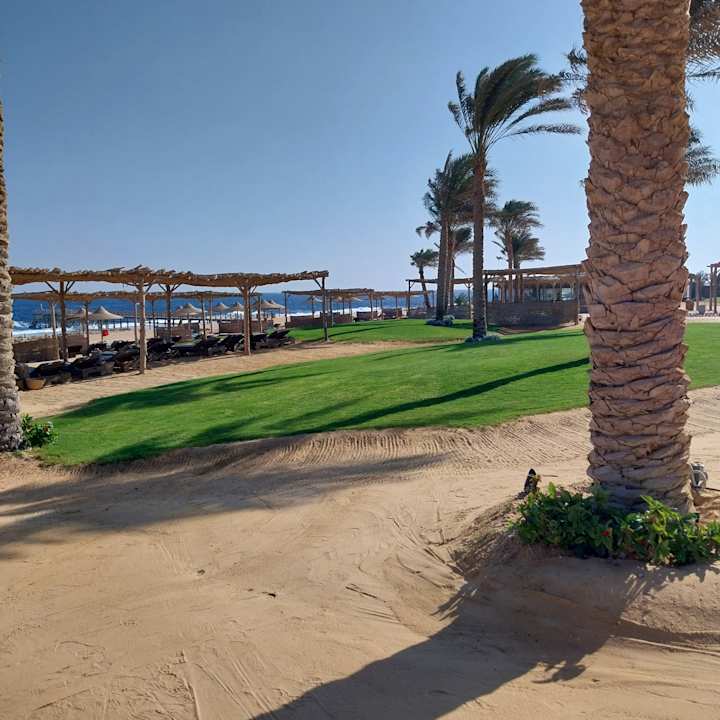 Strand Steigenberger Resort Alaya Marsa Alam - Red Sea - Adults only