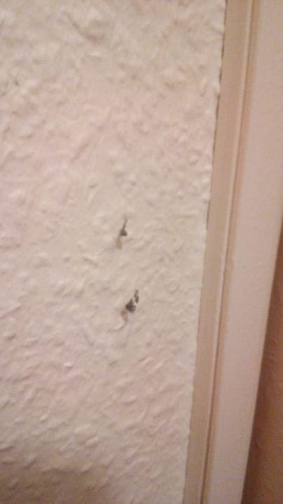 Zimmer Elbbrücken Hotel