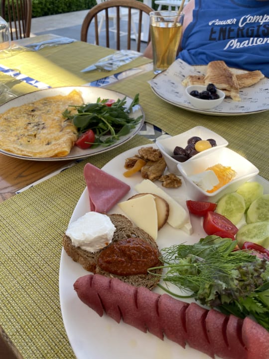 Gastro Acanthus Cennet Barut Collection