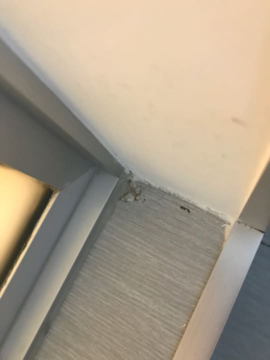 Zimmer Hotel Riu Republica - Adults only