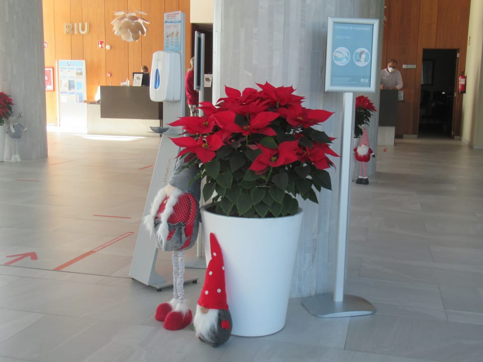 Lobby Hotel Riu Vistamar