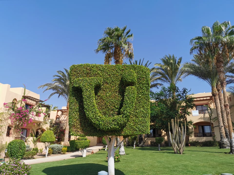 Gartenanlage Steigenberger Coraya Beach - Adults only