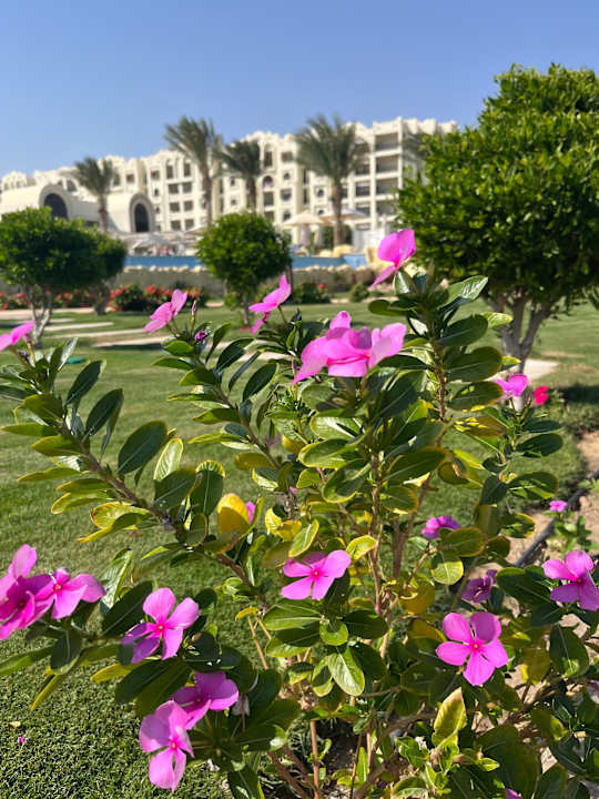 Gartenanlage Gravity Hotel & Aquapark Sahl Hasheesh