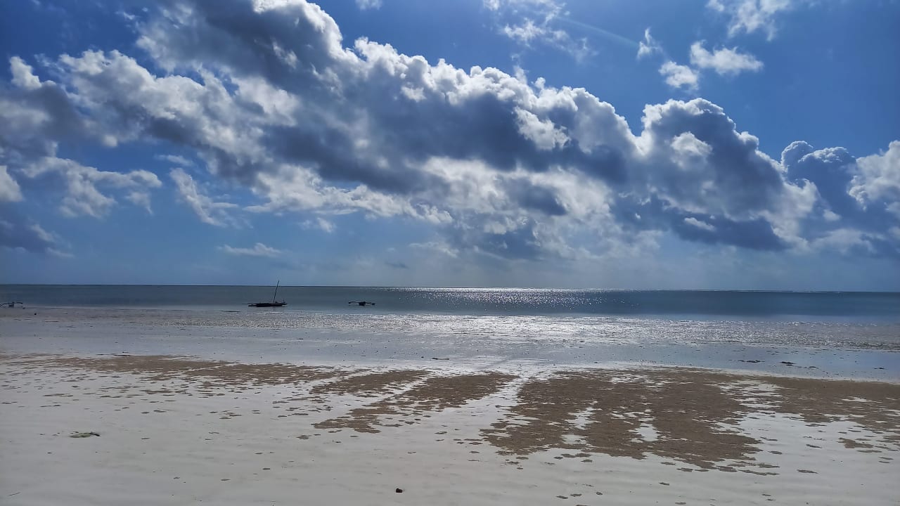 Strand Hotel Kiwengwa Beach Resort