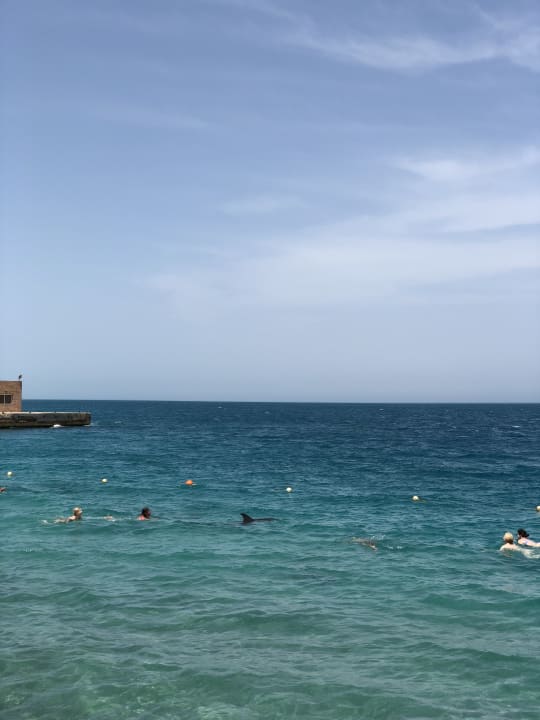 Strand Palm Beach Resort