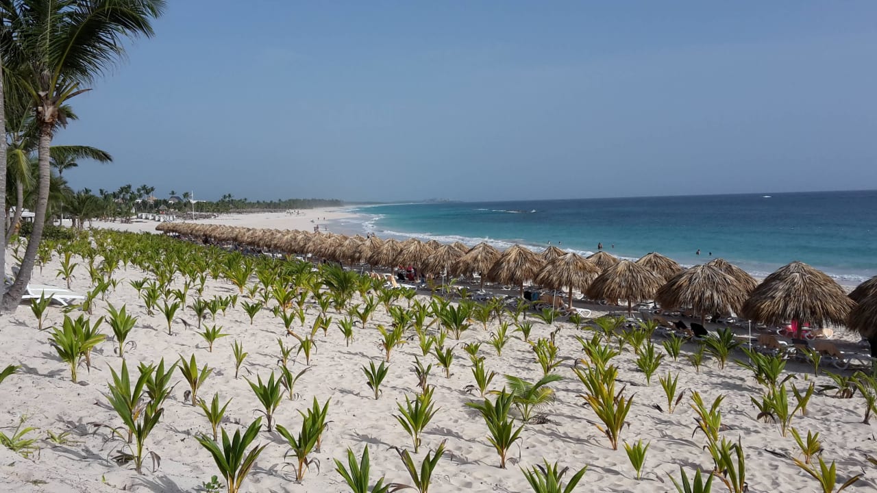 Von der Düne gesehen Hotel Riu Republica - Adults only